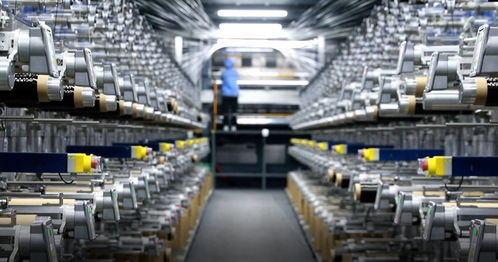 灼言丨落子科技創新 山東高質量發展中的網絡科技新棋局